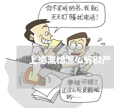上海离婚怎么分财产/2023032516939 上海离婚怎么分财产/2023032516939