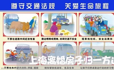 上海离婚房子归一方还是子女/2023032418968 上海离婚房子归一方还是子女/2023032418968