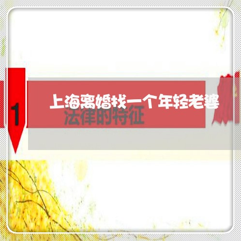 上海离婚找一个年轻老婆/2023021816838 上海离婚找一个年轻老婆/2023021816838