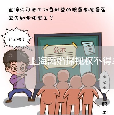上海离婚探视权不得单独探视/2023032494748 上海离婚探视权不得单独探视/2023032494748