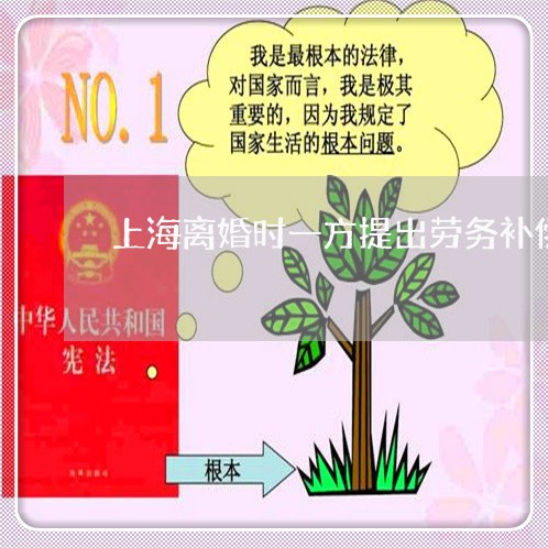 上海离婚时一方提出劳务补偿/2023032432828