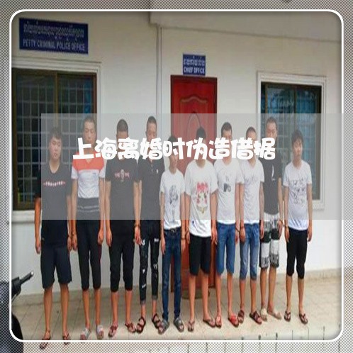 上海离婚时伪造借据/2023032627471 上海离婚时伪造借据/2023032627471