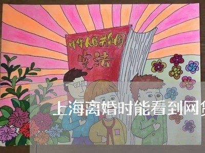 上海离婚时能看到网贷吗/2023041226940