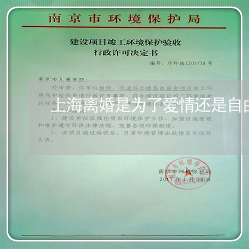 上海离婚是为了爱情还是自由/2023032305157 上海离婚是为了爱情还是自由/2023032305157