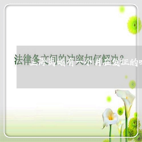 上海离婚有一个月在发证的吗/2023032426379 上海离婚有一个月在发证的吗/2023032426379