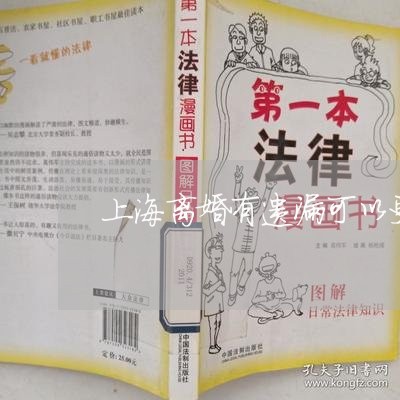 上海离婚有遗漏可以更改吗/2023032142608