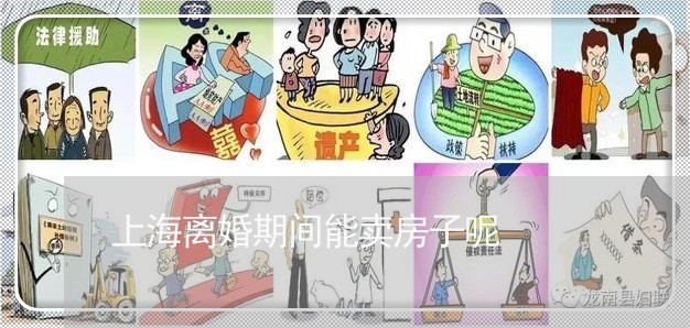 上海离婚期间能卖房子呢/2023041340169