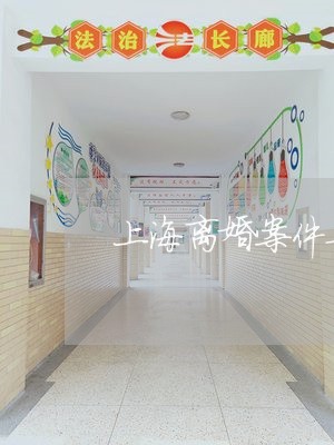 上海离婚案件要怎么撤诉/2023041304139