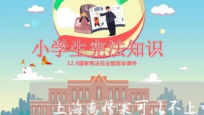 上海离婚案可以不上诉吗/2023041241503