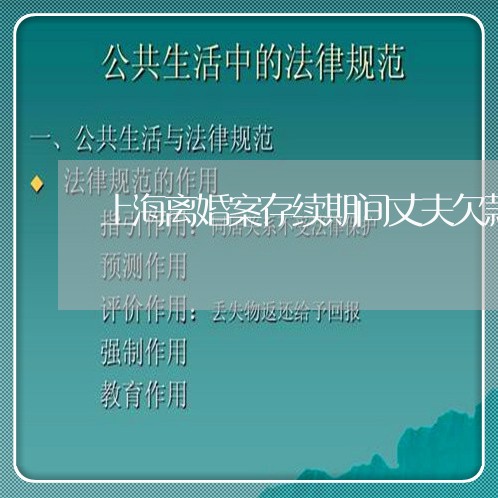 上海离婚案存续期间丈夫欠款/2023032361583 上海离婚案存续期间丈夫欠款/2023032361583