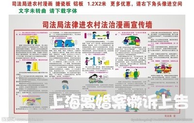 上海离婚案撤诉上告/2023032540591