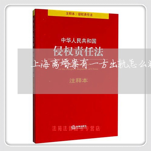 上海离婚案有一方出轨怎么判/2023032495039 上海离婚案有一方出轨怎么判/2023032495039