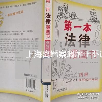 上海离婚案调解于不调解一样吗/2023042123047