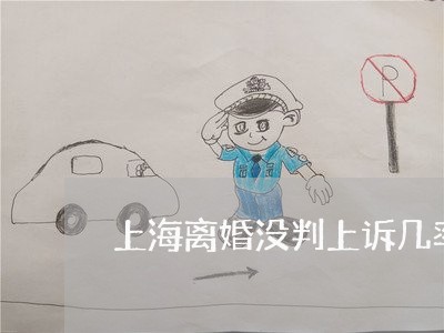 上海离婚没判上诉几率大不大/2023032452926 上海离婚没判上诉几率大不大/2023032452926