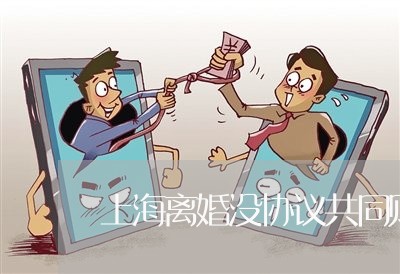 上海离婚没协议共同财产被卖/2023032457351