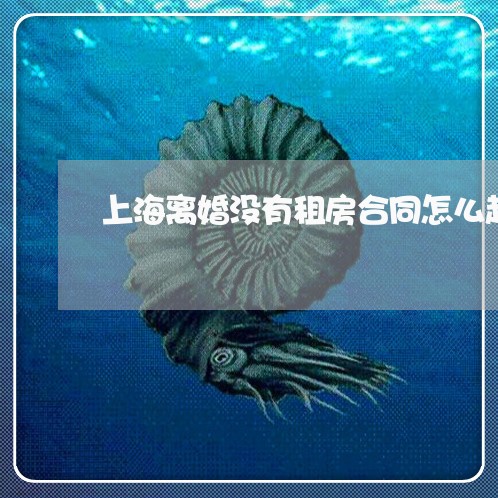 上海离婚没有租房合同怎么起诉/2023042120491