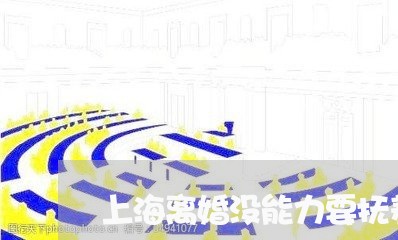 上海离婚没能力要抚养权/2023021873737 上海离婚没能力要抚养权/2023021873737