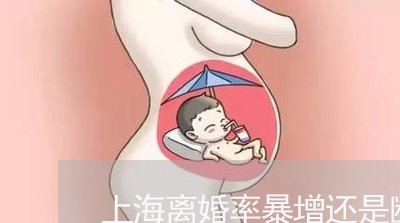 上海离婚率暴增还是断则断好/2023032436350