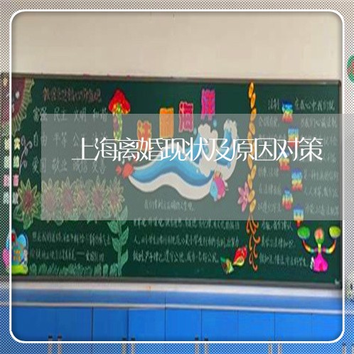 上海离婚现状及原因对策/2023041383937