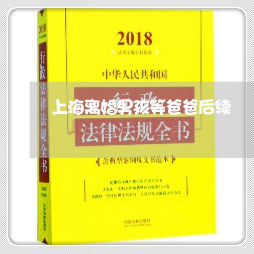 上海离婚男孩等爸爸后续/2023041350716