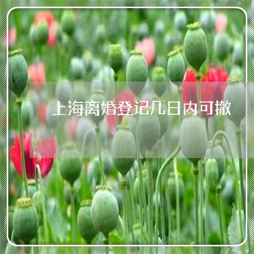 上海离婚登记几日内可撤/2023041328931