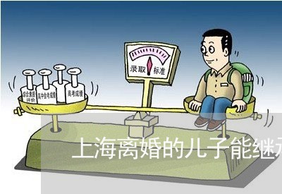 上海离婚的儿子能继承房产吗/2023032404861