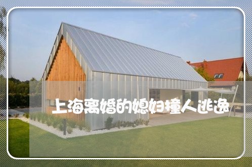 上海离婚的媳妇撞人逃逸/2023021773927