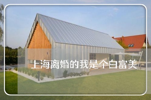 上海离婚的我是个白富美/2023021726048 上海离婚的我是个白富美/2023021726048