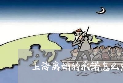 上海离婚的承诺怎么兑现/2023021732607 上海离婚的承诺怎么兑现/2023021732607