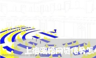上海离婚网贷债务怎么提交
