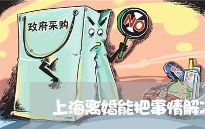 上海离婚能把事情解决吗/2023041318150