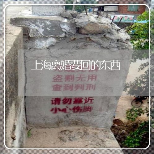 上海离婚要回的东西/2023032574594
