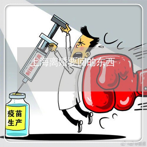 上海离婚要回的东西/2023032583827