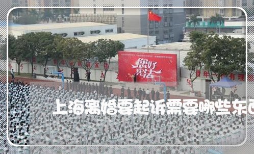 上海离婚要起诉需要哪些东西/2023032337179