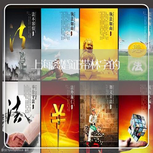 上海离婚证带林字的/2023032512126