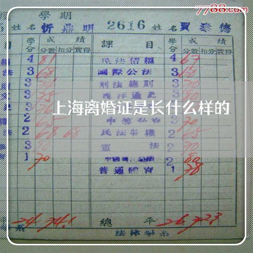 上海离婚证是长什么样的/2023021779592 上海离婚证是长什么样的/2023021779592
