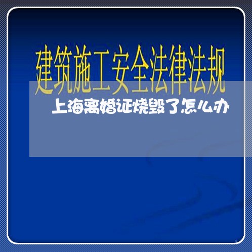 上海离婚证烧毁了怎么办/2023021757169 上海离婚证烧毁了怎么办/2023021757169