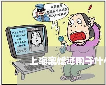 上海离婚证用于什么场所/2023021706369 上海离婚证用于什么场所/2023021706369