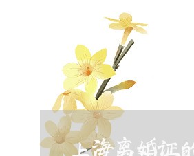 上海离婚证的单词怎么写/2023021738178 上海离婚证的单词怎么写/2023021738178