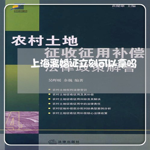 上海离婚证立刻可以拿吗/2023041286948