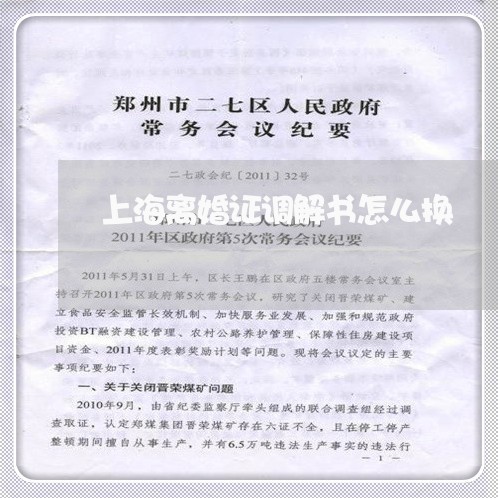 上海离婚证调解书怎么换/2023041225260