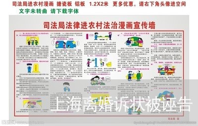 上海离婚诉状被诬告/2023032594823 上海离婚诉状被诬告/2023032594823