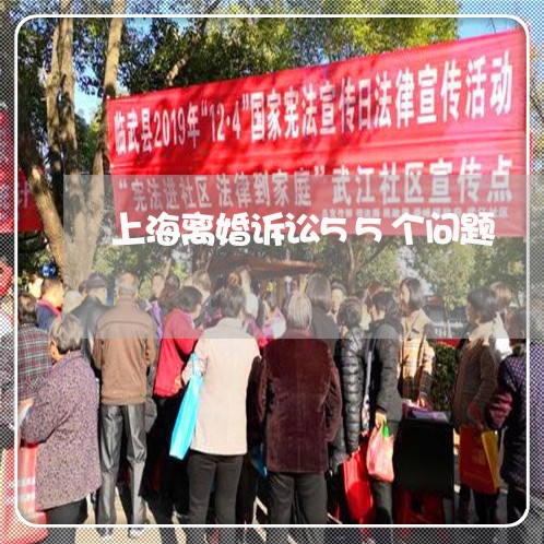 上海离婚诉讼55个问题/2023021782793 上海离婚诉讼55个问题/2023021782793