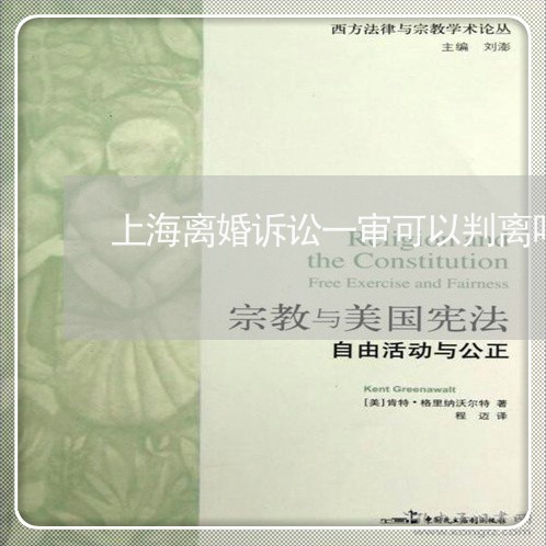 上海离婚诉讼一审可以判离吗/2023032493936 上海离婚诉讼一审可以判离吗/2023032493936