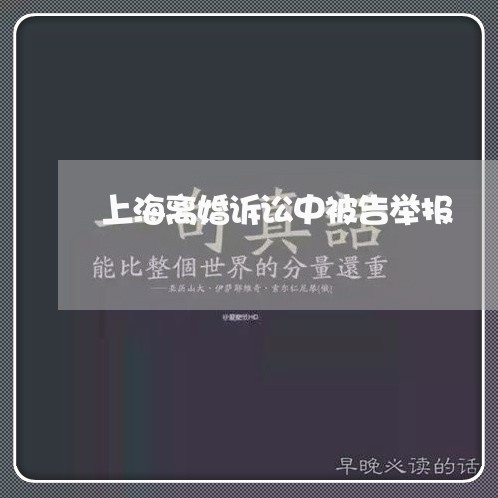 上海离婚诉讼中被告举报/2023041234705