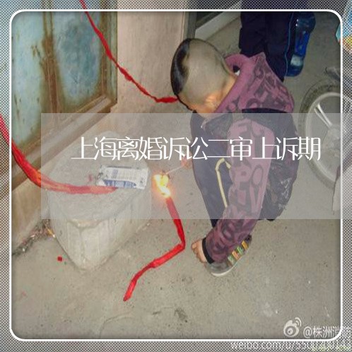 上海离婚诉讼二审上诉期/2023021773692 上海离婚诉讼二审上诉期/2023021773692