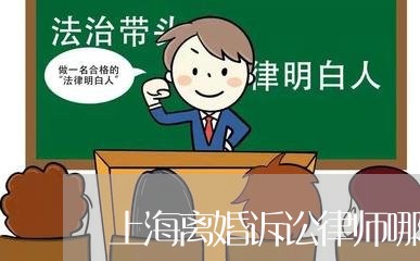 上海离婚诉讼律师哪个好/2023021704927 上海离婚诉讼律师哪个好/2023021704927