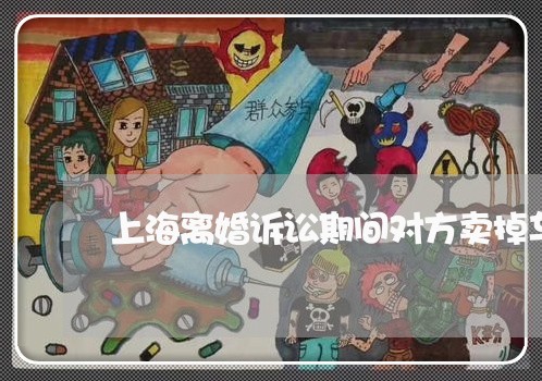 上海离婚诉讼期间对方卖掉车/2023032439372