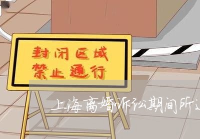 上海离婚诉讼期间所还房贷/2023032004048