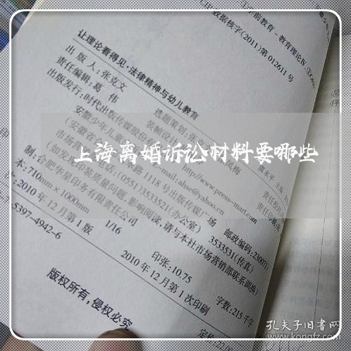 上海离婚诉讼材料要哪些/2023041240570